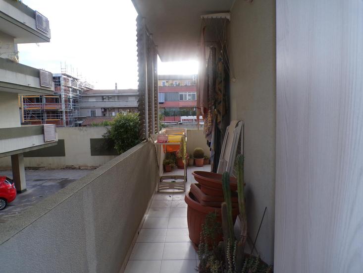  id.5238585